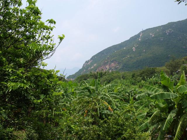HK201335